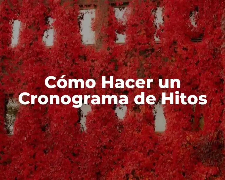 Cómo Hacer un Cronograma de Hitos