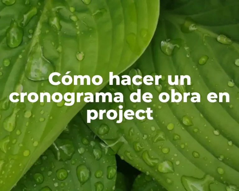 Cómo hacer un cronograma de obra en project