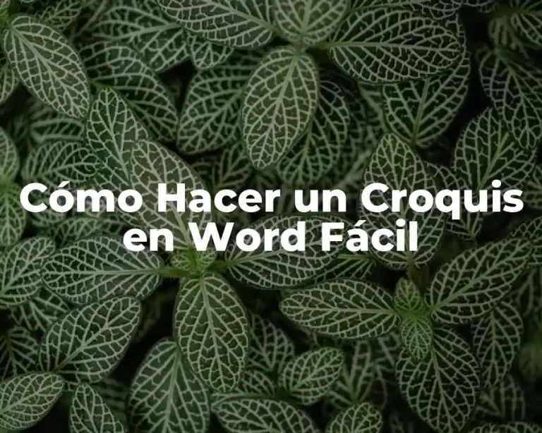Cómo Hacer un Croquis en Word Fácil