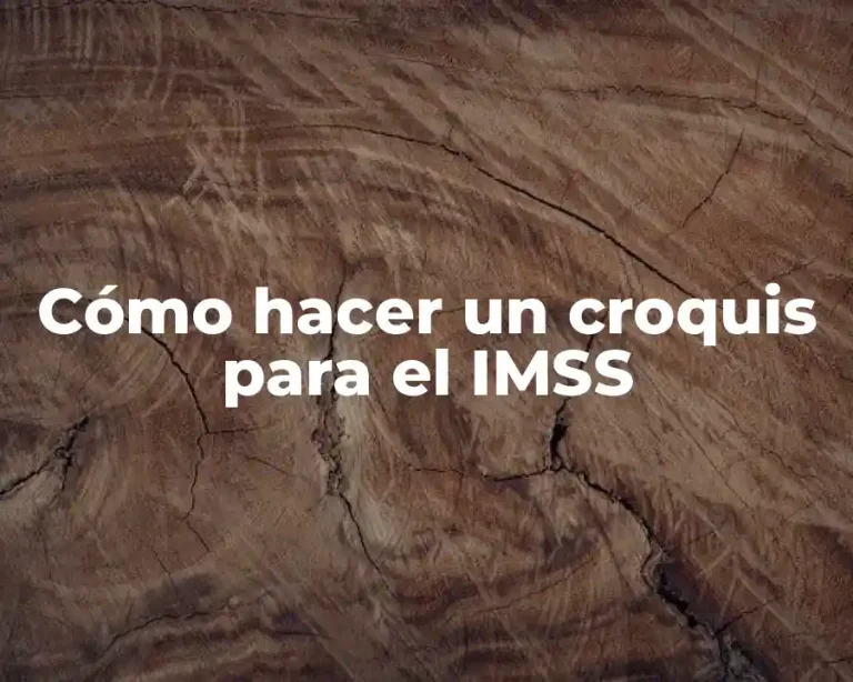 Cómo hacer un croquis para el IMSS