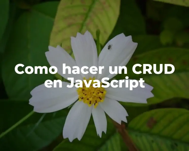 Como hacer un CRUD en JavaScript