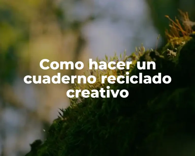 Como hacer un cuaderno reciclado creativo