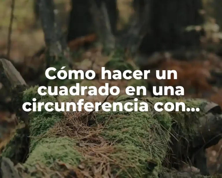 Cómo hacer un cuadrado en una circunferencia con compás