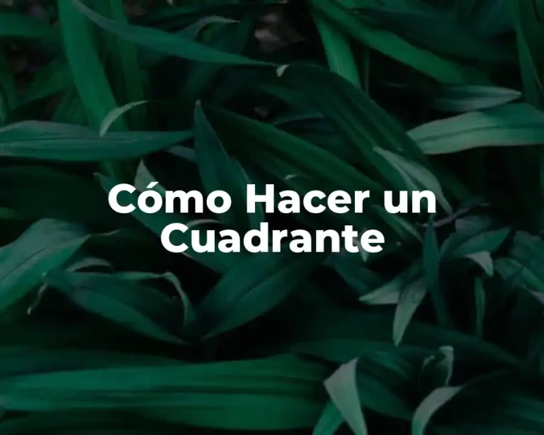 Cómo Hacer un Cuadrante