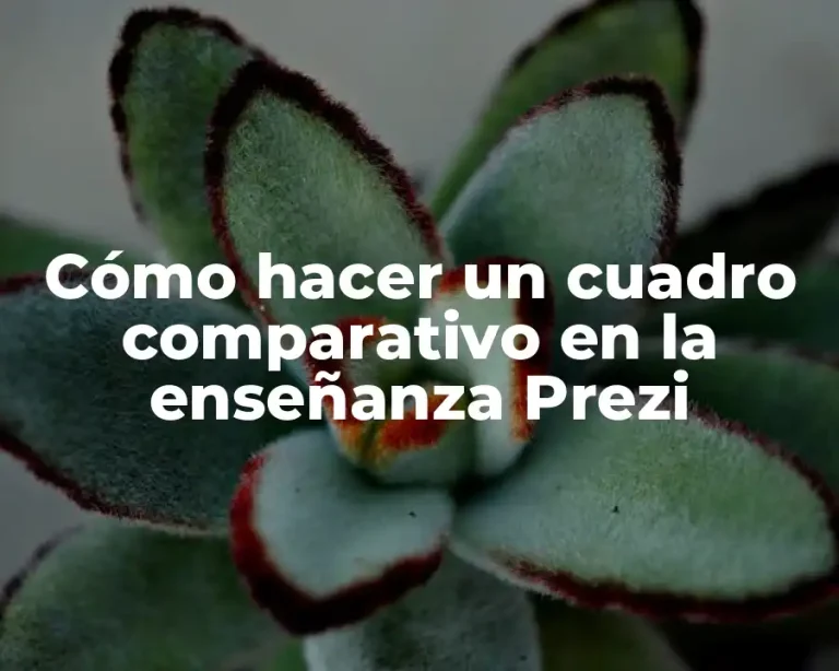 Cómo hacer un cuadro comparativo en la enseñanza Prezi