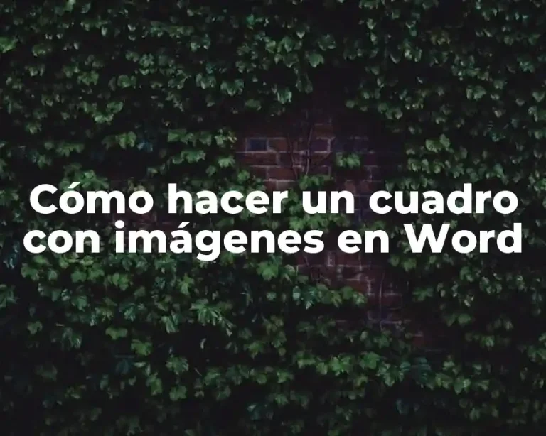 Cómo hacer un cuadro con imágenes en Word
