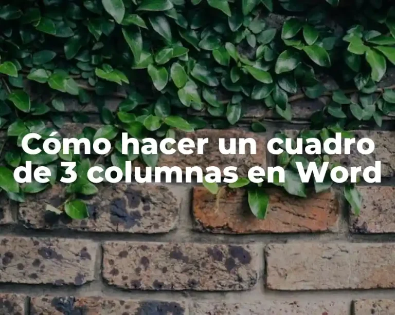 Cómo hacer un cuadro de 3 columnas en Word