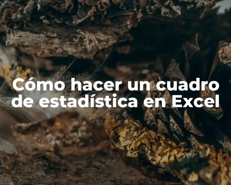 Cómo hacer un cuadro de estadística en Excel