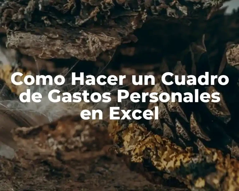 Como Hacer un Cuadro de Gastos Personales en Excel