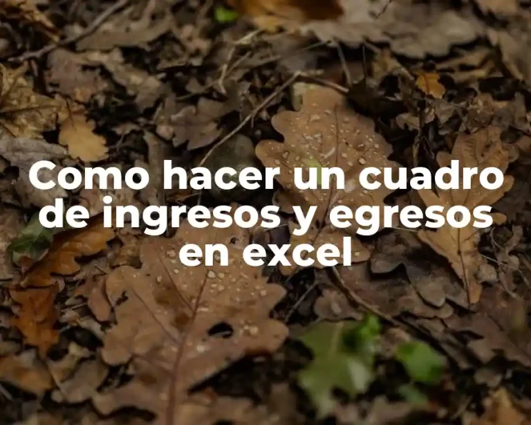 Como hacer un cuadro de ingresos y egresos en excel
