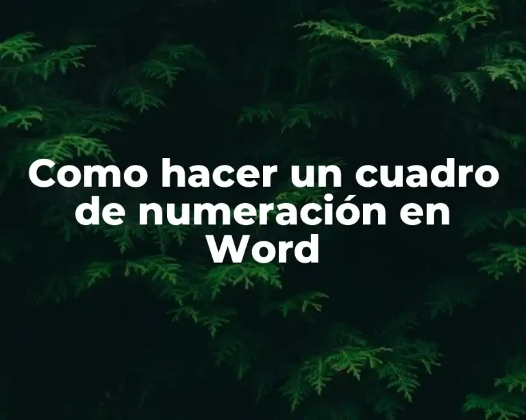 Como hacer un cuadro de numeración en Word