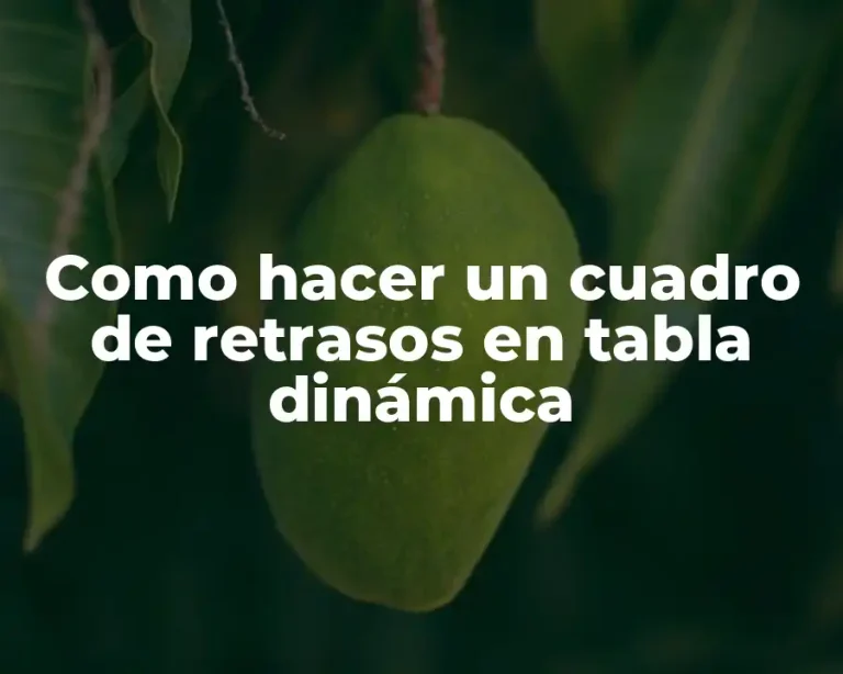 Como hacer un cuadro de retrasos en tabla dinámica