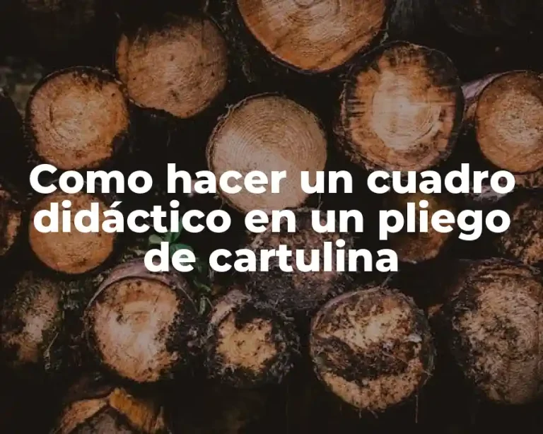 Como hacer un cuadro didáctico en un pliego de cartulina