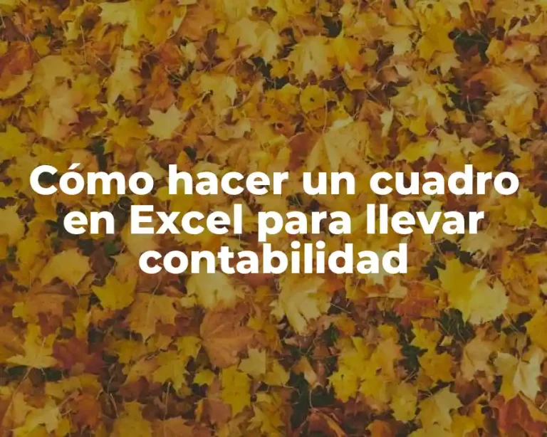 Cómo hacer un cuadro en Excel para llevar contabilidad