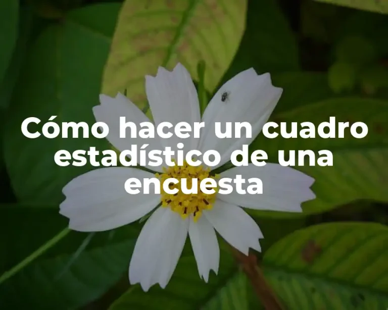 Cómo hacer un cuadro estadístico de una encuesta