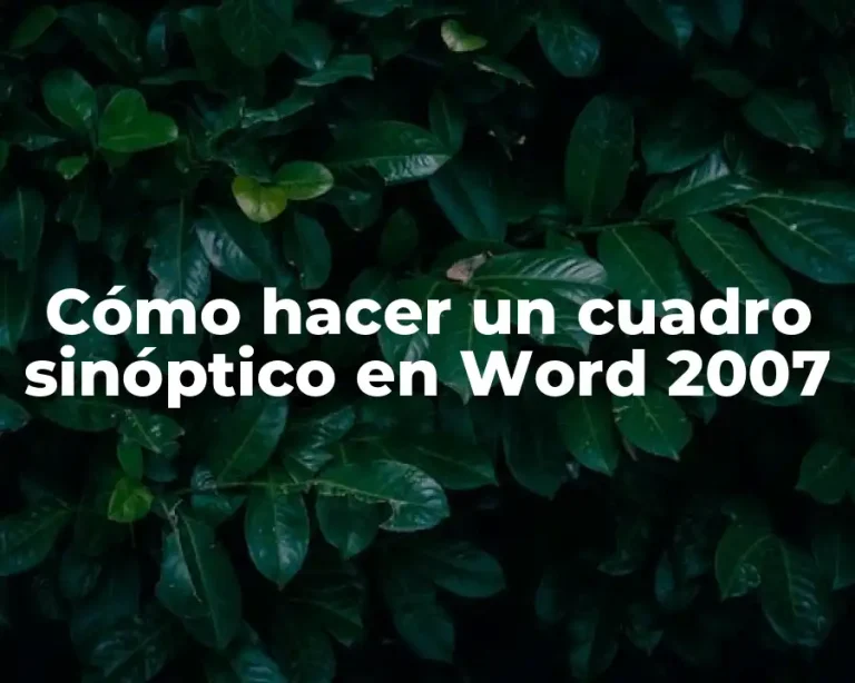 Cómo hacer un cuadro sinóptico en Word 2007