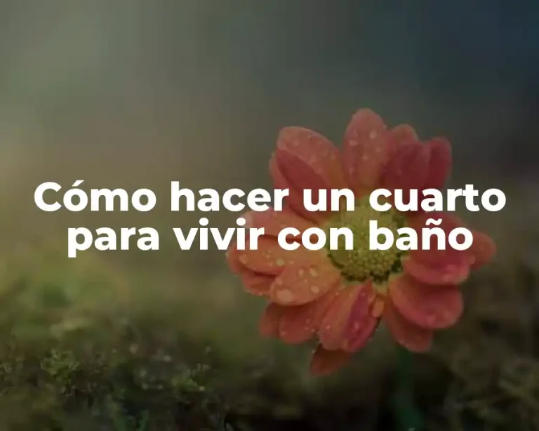 Cómo hacer un cuarto para vivir con baño