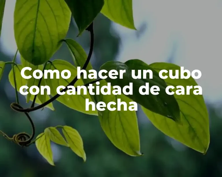 Como hacer un cubo con cantidad de cara hecha