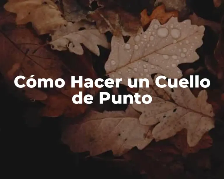 Cómo Hacer un Cuello de Punto