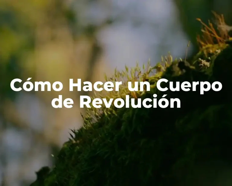 Cómo Hacer un Cuerpo de Revolución