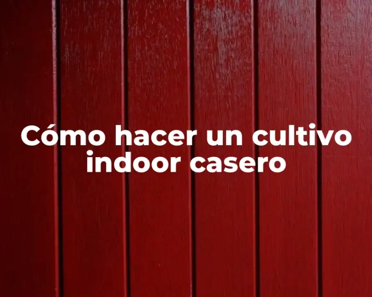Cómo hacer un cultivo indoor casero