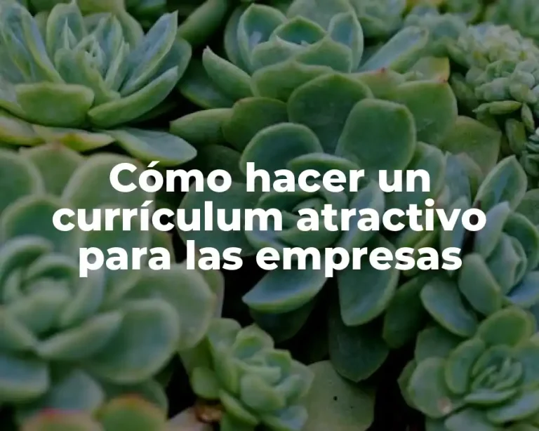 Cómo hacer un currículum atractivo para las empresas