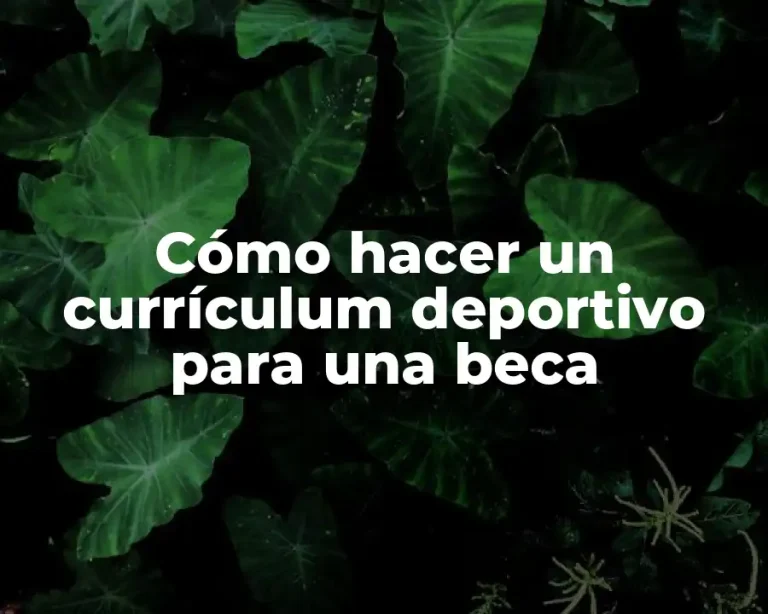 Cómo hacer un currículum deportivo para una beca