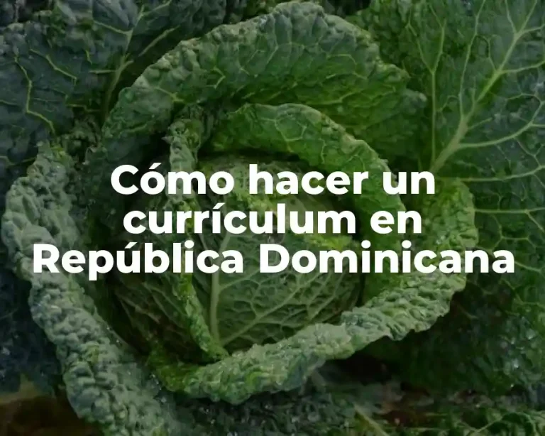 Cómo hacer un currículum en República Dominicana