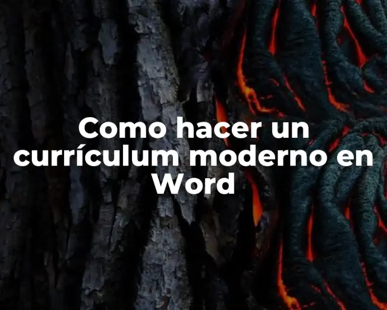 Como hacer un currículum moderno en Word