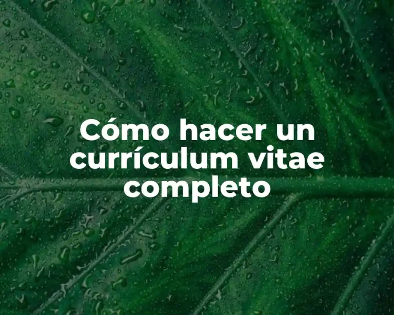 Cómo hacer un currículum vitae completo
