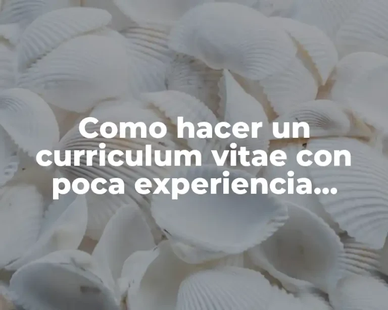 Como hacer un curriculum vitae con poca experiencia laboral