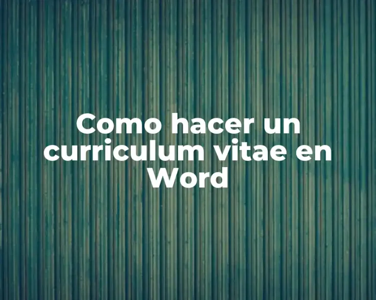 Como hacer un curriculum vitae en Word
