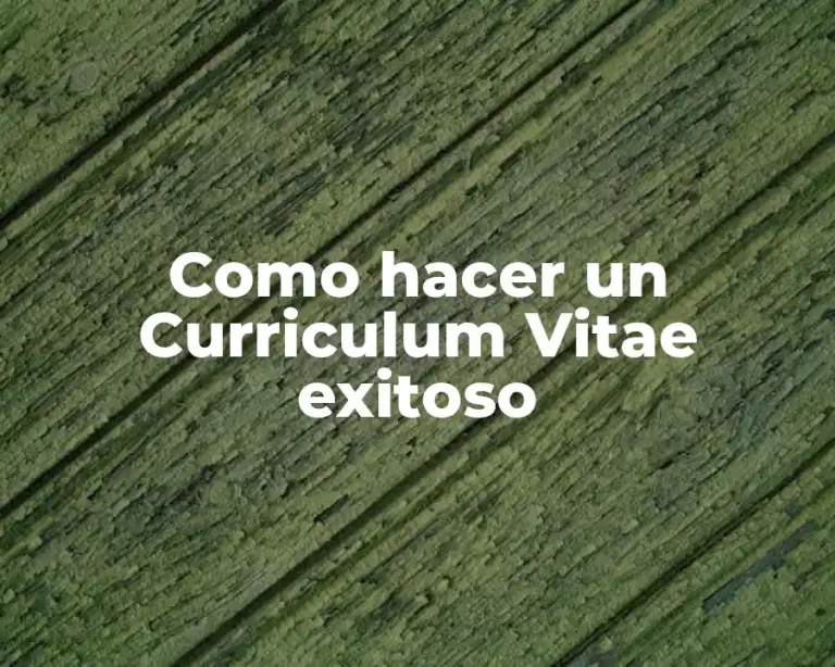 Como hacer un Curriculum Vitae exitoso
