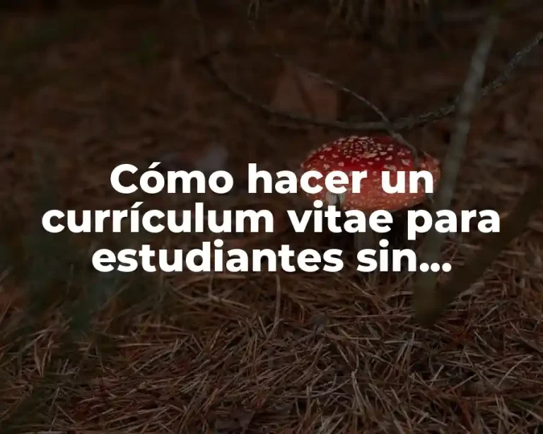 Cómo hacer un currículum vitae para estudiantes sin experiencia