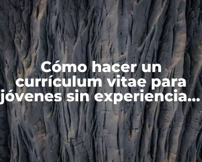 Cómo hacer un currículum vitae para jóvenes sin experiencia laboral