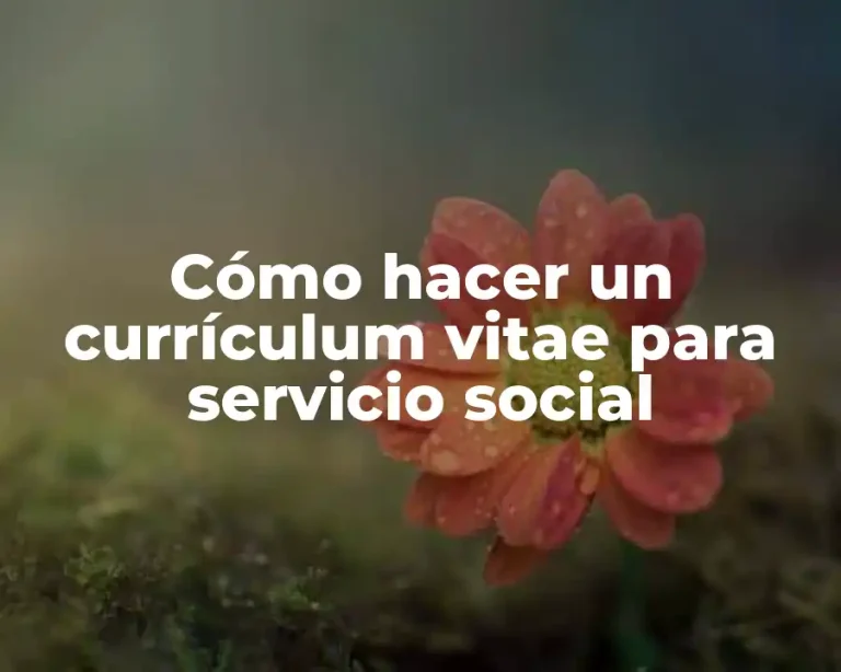 Cómo hacer un currículum vitae para servicio social