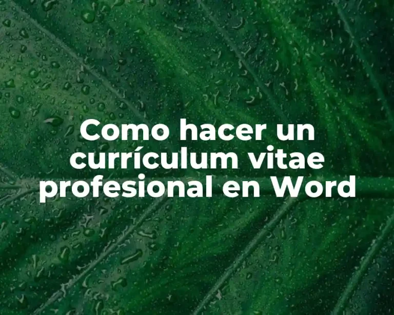 Como hacer un currículum vitae profesional en Word
