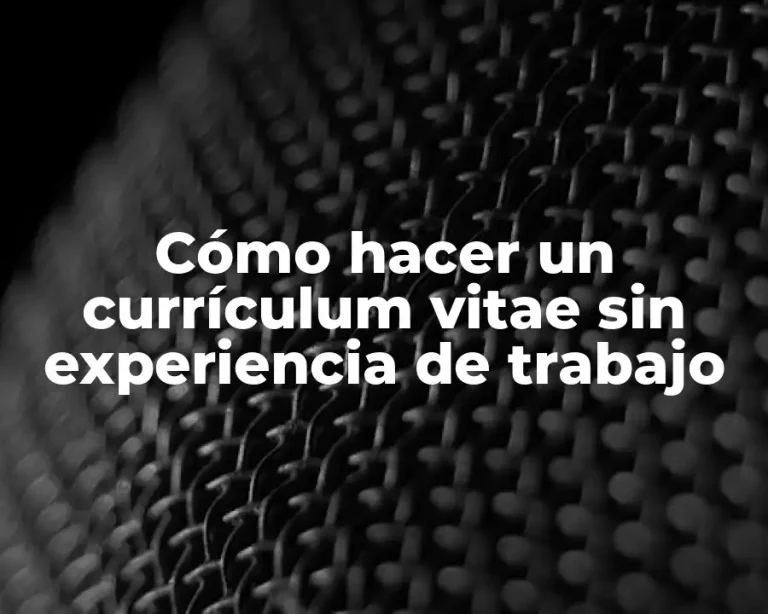 Cómo hacer un currículum vitae sin experiencia de trabajo