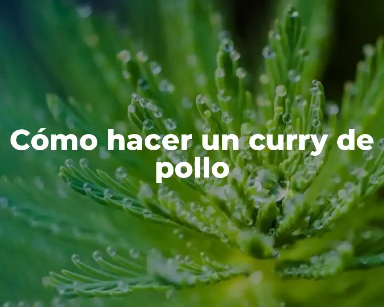 Cómo hacer un curry de pollo