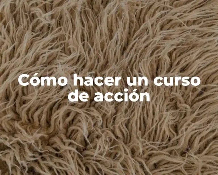Cómo hacer un curso de acción