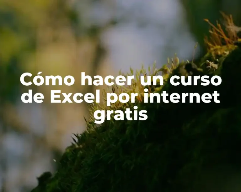 Cómo hacer un curso de Excel por internet gratis