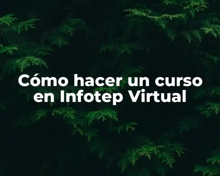 Cómo hacer un curso en Infotep Virtual