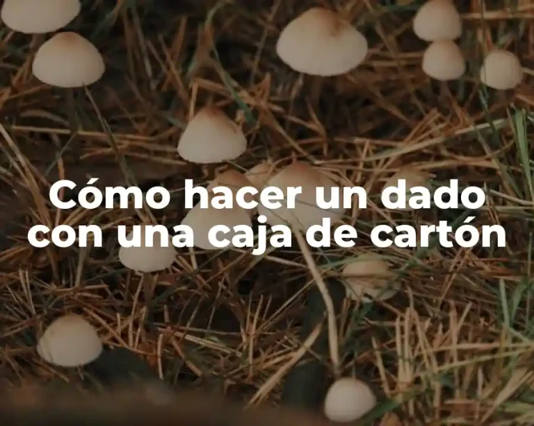 Cómo hacer un dado con una caja de cartón