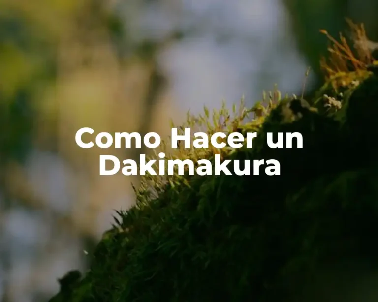 Como Hacer un Dakimakura