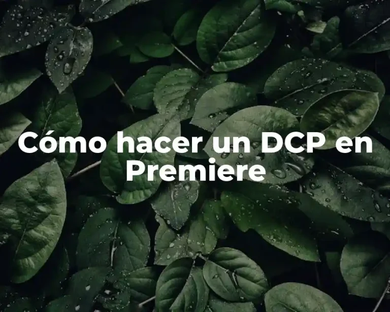Cómo hacer un DCP en Premiere