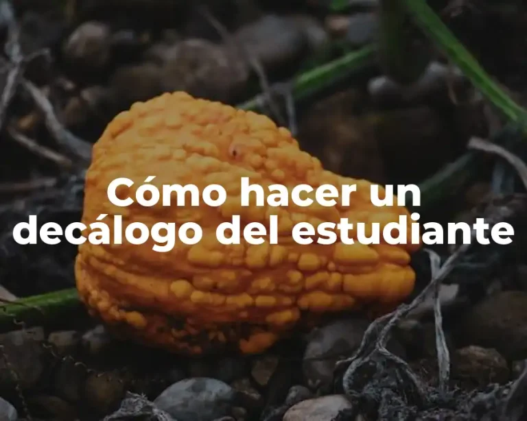 Cómo hacer un decálogo del estudiante