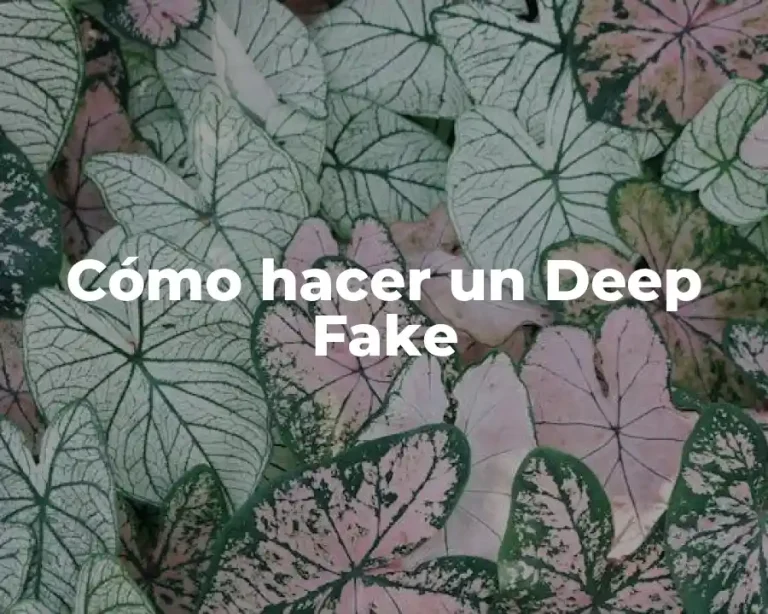 Cómo hacer un Deep Fake