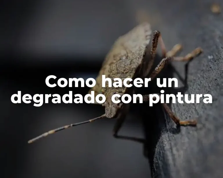 Como hacer un degradado con pintura