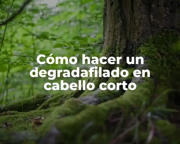 Cómo hacer un degradafilado en cabello corto