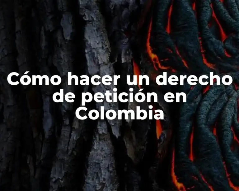 Cómo hacer un derecho de petición en Colombia